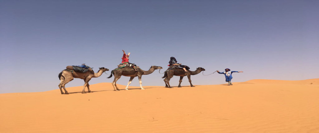 Camel Trek Morocco